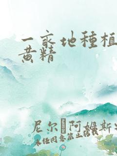 一亩地种植多少黄精