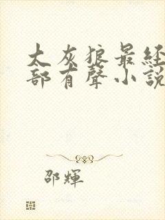 大灰狼最经典十部有声小说