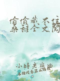 偷偷藏不住小说桑稚全文阅读