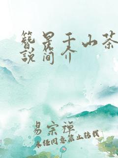 簪星千山茶客小说简介