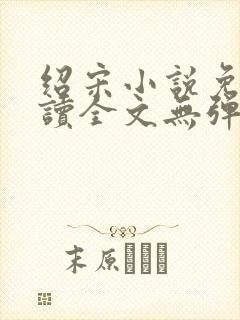 绍宋小说免费阅读全文无弹窗