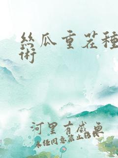 丝瓜重茬种植技术