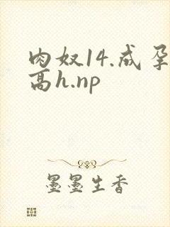 肉奴14.成孕高h.np