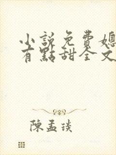 小说免费媳妇,有点甜全文阅读