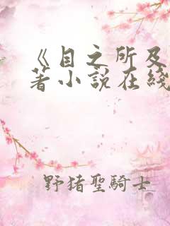 《目之所及》原著小说在线阅读