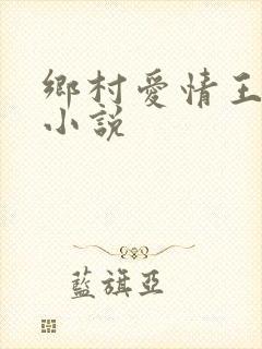乡村爱情王小蒙小说