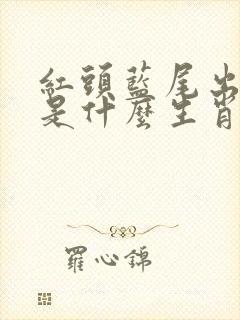 红头蓝尾出生肖是什么生肖