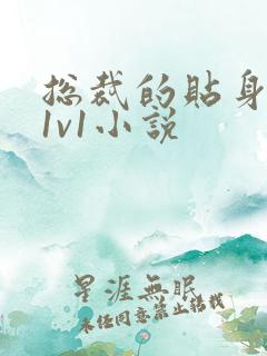 总裁的贴身秘书1v1小说