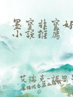 墨宝非宝好看的小说推荐