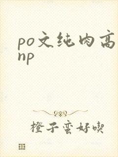 po文纯肉高hnp