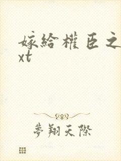 嫁给权臣之后txt