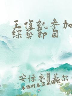 王俊凯参加过的综艺节目