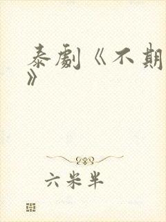 泰剧《不期而爱》