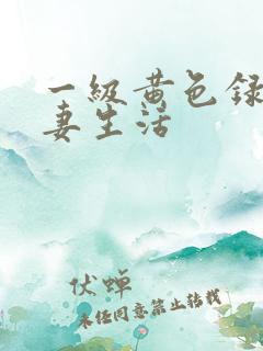 一级黄色录像夫妻生活