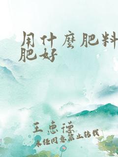 用什么肥料做底肥好