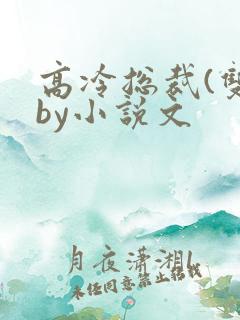 高冷总裁(双)by小说文