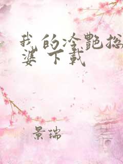 我的冷艳总裁老婆 下载