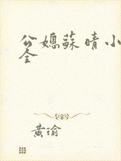 公媳苏晴小说大全