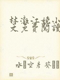 林澈江娆小说全文免费阅读