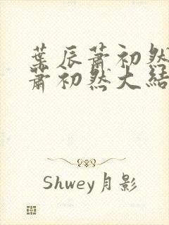 叶辰萧初然叶辰萧初然大结局