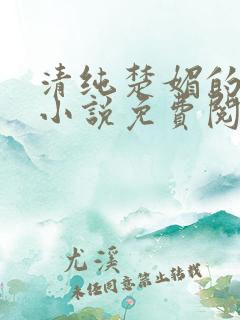 清纯楚媚的快穿小说免费阅读