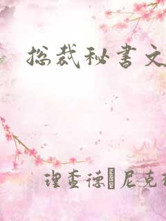 总裁秘书文高h