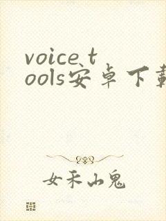voice tools安卓下载