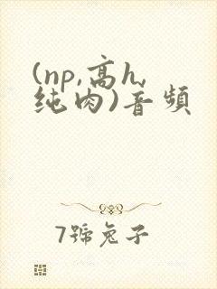 (np,高h,纯肉)音频