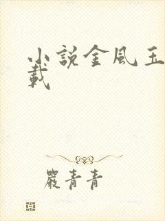 小说金风玉露下载