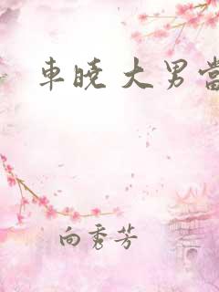 车晓 大男当婚