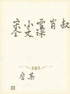 宋小雪肖叔小说全文琛