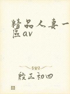 精品人妻一区二区av