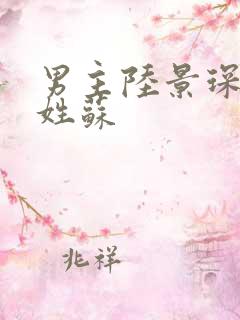 男主陆景琛女主姓苏