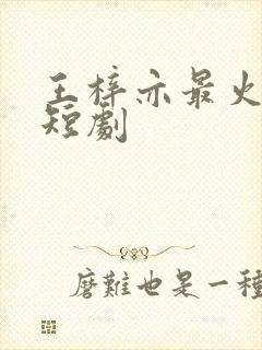 王梓亦最火十部短剧