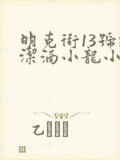 明克街13号纯洁滴小龙小说免费阅读完整版