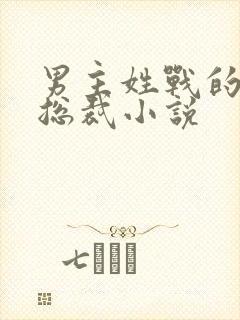 男主姓战的霸道总裁小说