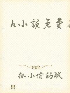 h小说免费在线 h小说免费在线