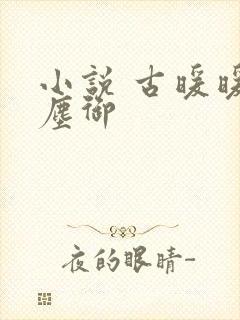 小说 古暖暖江尘御