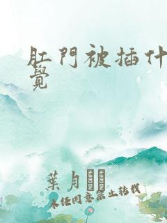 肛门被插什么感觉