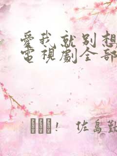 爱我就别想太多电视剧全部免费观看