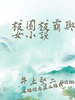 校园校霸与乖乖女小说