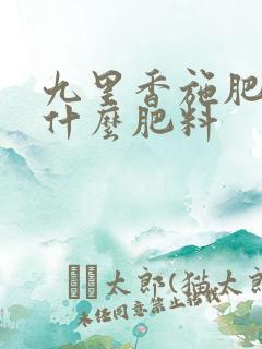 九里香施肥需施什么肥料