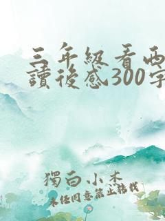 三年级看西游记读后感300字
