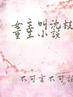 女主叫沈枝意的重生小说