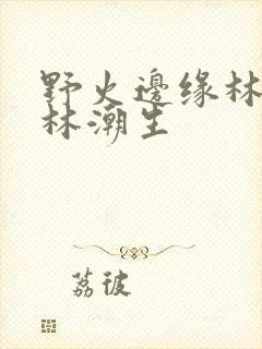 野火边缘林晚晚林潮生