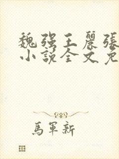 魏强王丽张娜的小说全文免费阅读