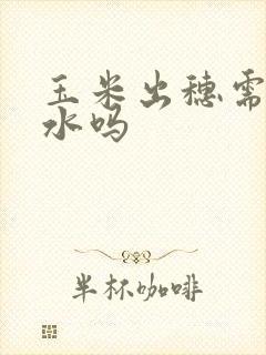 玉米出穗需要浇水吗