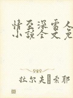 情至深处人孤独小说全文免费阅读