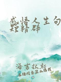 感悟人生句子简短精辟