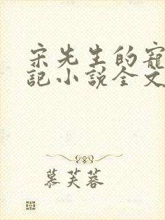 宋先生的宠妻日记小说全文轩家沐言下载